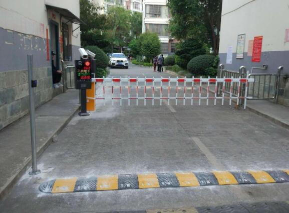 雙重車牌識別
