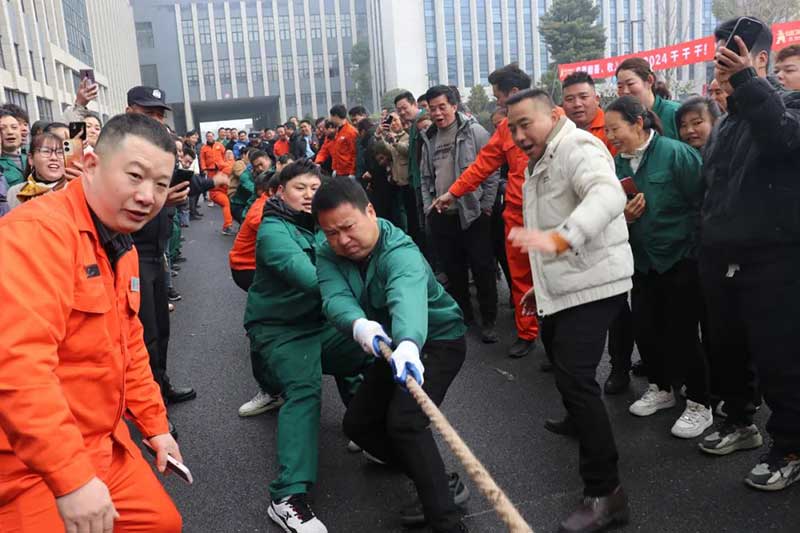 參賽隊伍