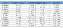 出入口安防巨頭2019年報：增速下滑