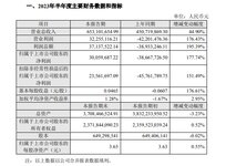捷順科技公布上半年業(yè)績，營收6.53億元，同比增長44.9%