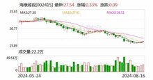 海康威視：發(fā)布2024年半年度報告，比上年同期增長9.68%；
