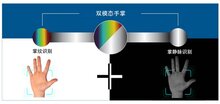加速城市數(shù)字化！多模態(tài)手掌識別技術引領場景創(chuàng)新