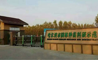 哈爾濱市園林種苗科研示范基地伸縮門工程案例 - 中出網(wǎng)-智能出入口門戶