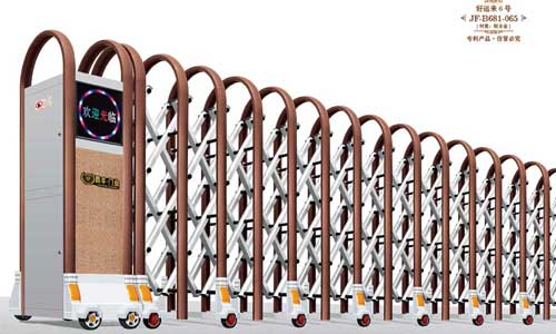 好運(yùn)來6號(hào)JF-B681-065