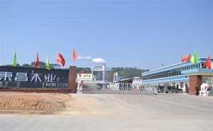 欽州市大寺東昌木業(yè)電動(dòng)伸縮門案例 - 中出網(wǎng)-智能出入口門戶