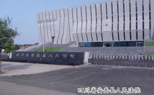 安岳法院 - 中出網(wǎng)-智能出入口門戶