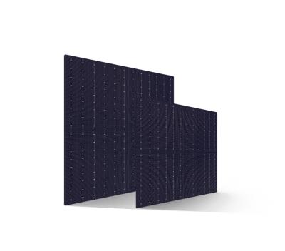 其他 - 雙面高效單晶PERC電池