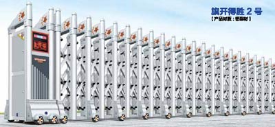 其他 - 旗開得勝2號(hào)