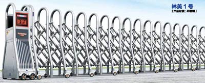 其他 - 林美1號(hào)