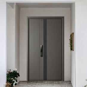 入戶(hù)門(mén)