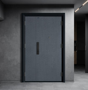 入戶(hù)門(mén)-K9GBF-Z-0102