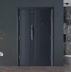 入戶(hù)門(mén)-K9GBF-P40-0102MM