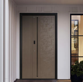 其他 - 別墅門-K9L-雅帝金楠