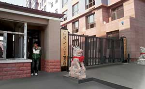 黑龍江平安家園智能無軌懸浮門工程案例 - 中出網(wǎng)-智能出入口門戶
