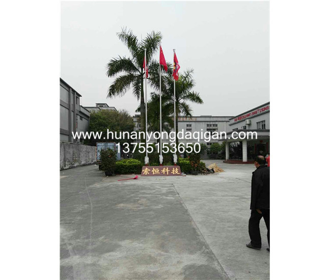 東莞厚街索恒科技有限公司旗桿案例 - 中出網(wǎng)-智能出入口與停車(chē)充電門(mén)戶