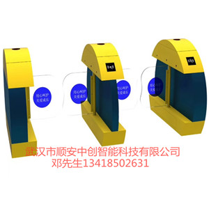 武漢幼兒園閘機(jī)手機(jī)推送智能門(mén)禁系統(tǒng)擺閘兒童樂(lè)園人行通道閘廠家