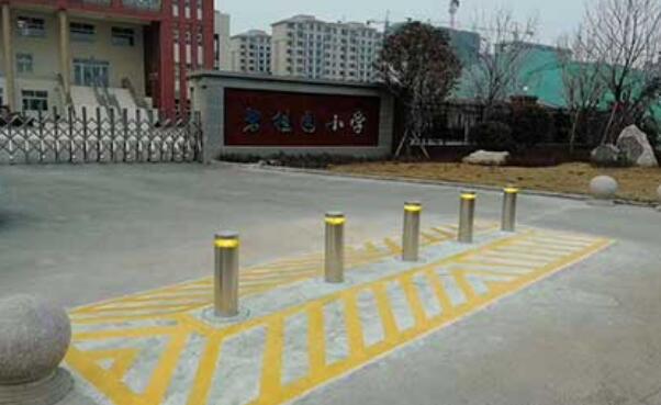 碧桂園小學(xué) - 中出網(wǎng)-智能出入口門(mén)戶