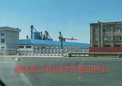 魚躍龍門工程案例 - 中出網(wǎng)-智能出入口門戶