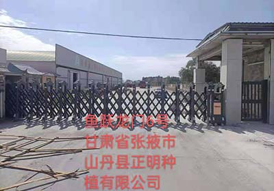 甘肅省張掖市山丹縣正明種植有限公司 - 中出網(wǎng)-智能出入口門戶