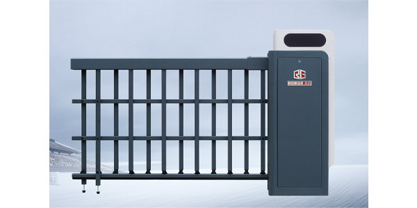 RG600