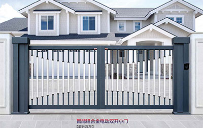 其他 - 智能鋁合金電動雙開小門 SK-02GY