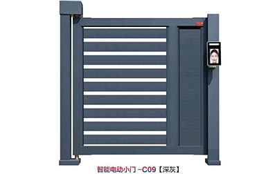 其他 - 智能電動(dòng)小門C09