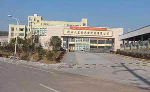 衢州浙江火藍(lán)科技電動(dòng)伸縮門案例