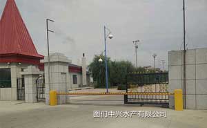 延安圖們中興水產有限公司直桿道閘案例