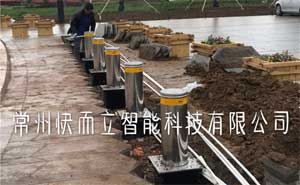 南京溧水農(nóng)業(yè)科技園 - 中出網(wǎng)-智能出入口門戶