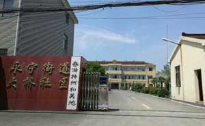 永寧街道大橋社區(qū)電動伸縮門工程 - 中出網(wǎng)-智能出入口門戶