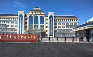 烏丹鎮(zhèn)蒙古族中學電動伸縮門工程