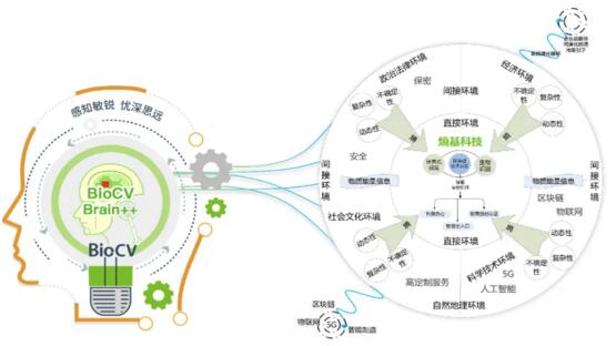 熵基科技