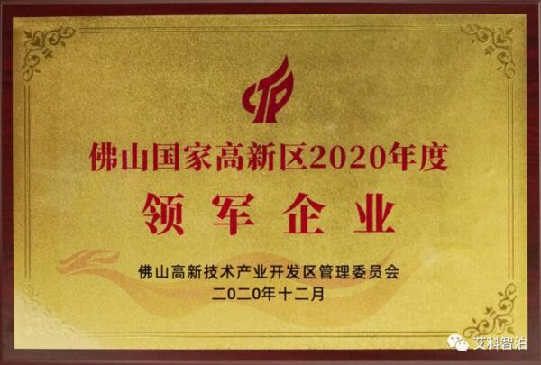 2020年度佛山領軍企業(yè)