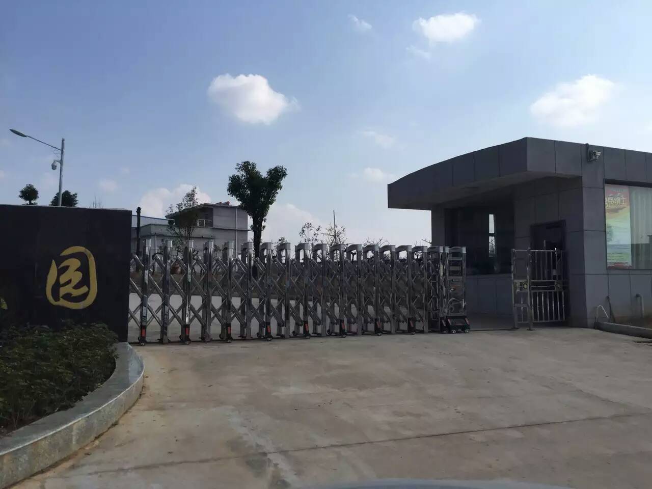 金鴻星